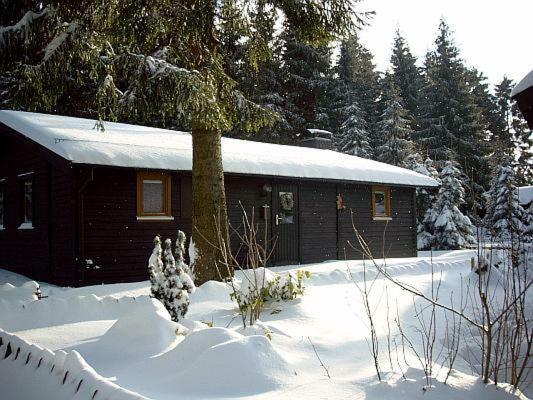 Huettenflair Am See Mit Kamin Clausthal-Zellerfeld Eksteriør billede